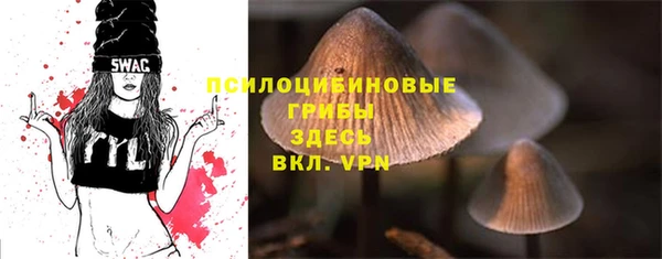 каннабис Абаза